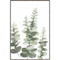 Picture of Eucalyptus Growing II  _GroupedProduct_Rectangle_Portrait_Canvas_Framed_