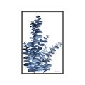 Picture of Navy Blue Eucalyptus I  _GroupedProduct_Rectangle_Portrait_Canvas_Framed_