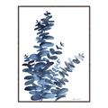 Picture of Navy Blue Eucalyptus I  _GroupedProduct_Rectangle_Portrait_Canvas_Framed_