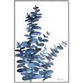 Picture of Navy Blue Eucalyptus I  _GroupedProduct_Rectangle_Portrait_Canvas_Framed_