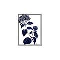 Picture of Blue Flower on White I _GroupedProduct_Rectangle_Portrait_Canvas_Framed_