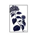 Picture of Blue Flower on White I _GroupedProduct_Rectangle_Portrait_Canvas_Framed_