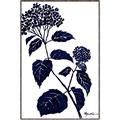 Picture of Blue Flower on White I _GroupedProduct_Rectangle_Portrait_Canvas_Framed_
