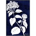 Picture of Flower on Blue II  _GroupedProduct_Rectangle_Portrait_Canvas_Framed_