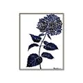 Picture of Blue Flower on White II  _GroupedProduct_Rectangle_Portrait_Canvas_Framed_