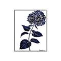 Picture of Blue Flower on White II  _GroupedProduct_Rectangle_Portrait_Canvas_Framed_