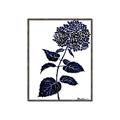 Picture of Blue Flower on White II  _GroupedProduct_Rectangle_Portrait_Canvas_Framed_
