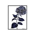 Picture of Blue Flower on White II  _GroupedProduct_Rectangle_Portrait_Canvas_Framed_
