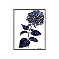 Picture of Blue Flower on White II  _GroupedProduct_Rectangle_Portrait_Canvas_Framed_