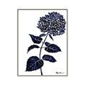 Picture of Blue Flower on White II  _GroupedProduct_Rectangle_Portrait_Canvas_Framed_