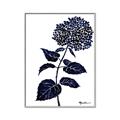 Picture of Blue Flower on White II  _GroupedProduct_Rectangle_Portrait_Canvas_Framed_