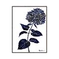 Picture of Blue Flower on White II  _GroupedProduct_Rectangle_Portrait_Canvas_Framed_