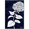 Picture of Flower on Blue I _GroupedProduct_Rectangle_Portrait_Canvas_Framed_