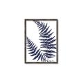 Picture of Fern on white  II _GroupedProduct_Rectangle_Portrait_Canvas_Framed_