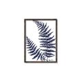 Picture of Fern on white  II _GroupedProduct_Rectangle_Portrait_Canvas_Framed_