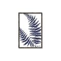 Picture of Fern on white  II _GroupedProduct_Rectangle_Portrait_Canvas_Framed_