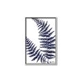 Picture of Fern on white  II _GroupedProduct_Rectangle_Portrait_Canvas_Framed_