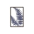 Picture of Fern on white  II _GroupedProduct_Rectangle_Portrait_Canvas_Framed_