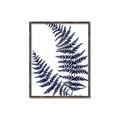 Picture of Fern on white  II _GroupedProduct_Rectangle_Portrait_Canvas_Framed_