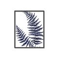 Picture of Fern on white  II _GroupedProduct_Rectangle_Portrait_Canvas_Framed_