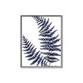 Picture of Fern on white  II _GroupedProduct_Rectangle_Portrait_Canvas_Framed_