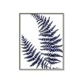 Picture of Fern on white  II _GroupedProduct_Rectangle_Portrait_Canvas_Framed_