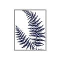 Picture of Fern on white  II _GroupedProduct_Rectangle_Portrait_Canvas_Framed_