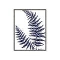 Picture of Fern on white  II _GroupedProduct_Rectangle_Portrait_Canvas_Framed_