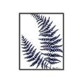 Picture of Fern on white  II _GroupedProduct_Rectangle_Portrait_Canvas_Framed_