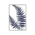 Picture of Fern on white  II _GroupedProduct_Rectangle_Portrait_Canvas_Framed_