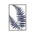 Picture of Fern on white  II _GroupedProduct_Rectangle_Portrait_Canvas_Framed_