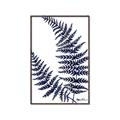 Picture of Fern on white  II _GroupedProduct_Rectangle_Portrait_Canvas_Framed_