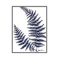 Picture of Fern on white  II _GroupedProduct_Rectangle_Portrait_Canvas_Framed_