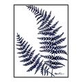 Picture of Fern on white  II _GroupedProduct_Rectangle_Portrait_Canvas_Framed_