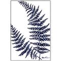 Picture of Fern on white  II _GroupedProduct_Rectangle_Portrait_Canvas_Framed_