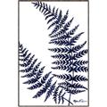 Picture of Fern on white  II _GroupedProduct_Rectangle_Portrait_Canvas_Framed_