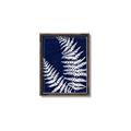 Picture of Fern on blue II _GroupedProduct_Rectangle_Portrait_Canvas_Framed_