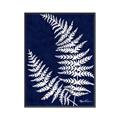 Picture of Fern on blue II _GroupedProduct_Rectangle_Portrait_Canvas_Framed_