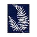 Picture of Fern on blue II _GroupedProduct_Rectangle_Portrait_Canvas_Framed_
