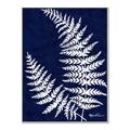 Picture of Fern on blue II _GroupedProduct_Rectangle_Portrait_Canvas_Framed_
