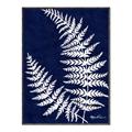Picture of Fern on blue II _GroupedProduct_Rectangle_Portrait_Canvas_Framed_