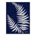 Picture of Fern on blue II _GroupedProduct_Rectangle_Portrait_Canvas_Framed_