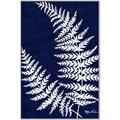 Picture of Fern on blue II _GroupedProduct_Rectangle_Portrait_Canvas_Framed_