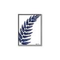 Picture of Fern on white I _GroupedProduct_Rectangle_Portrait_Canvas_Framed_