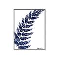 Picture of Fern on white I _GroupedProduct_Rectangle_Portrait_Canvas_Framed_