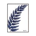 Picture of Fern on white I _GroupedProduct_Rectangle_Portrait_Canvas_Framed_