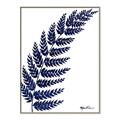Picture of Fern on white I _GroupedProduct_Rectangle_Portrait_Canvas_Framed_