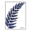 Picture of Fern on white I _GroupedProduct_Rectangle_Portrait_Canvas_Framed_