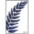 Picture of Fern on white I _GroupedProduct_Rectangle_Portrait_Canvas_Framed_