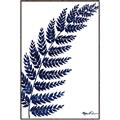 Picture of Fern on white I _GroupedProduct_Rectangle_Portrait_Canvas_Framed_